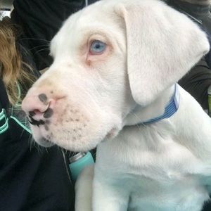 Meet your Posher, Scott